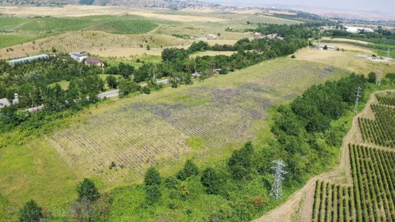 Satılır Torpaq 320 sot Şamaxı - şəkil 5