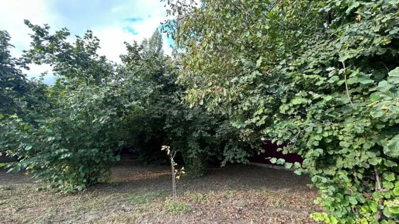 Satılır Torpaq 12 sot İsmayıllı - şəkil 6