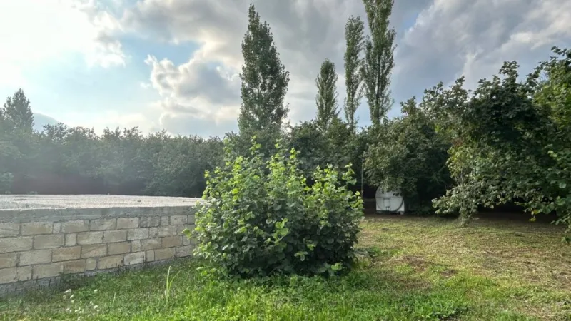 Satılır Torpaq 12 sot İsmayıllı - şəkil 8