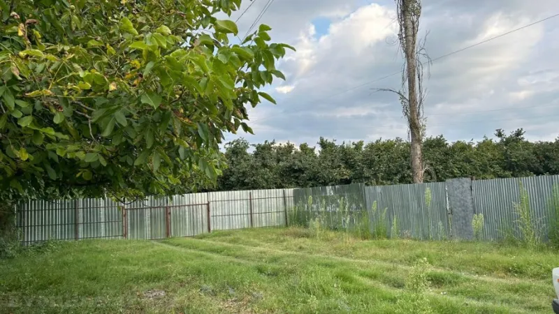 Satılır Torpaq 12 sot İsmayıllı - şəkil 9