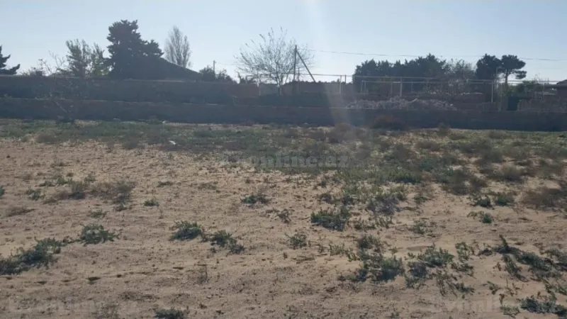 Satılır Torpaq 48 sot Türkan