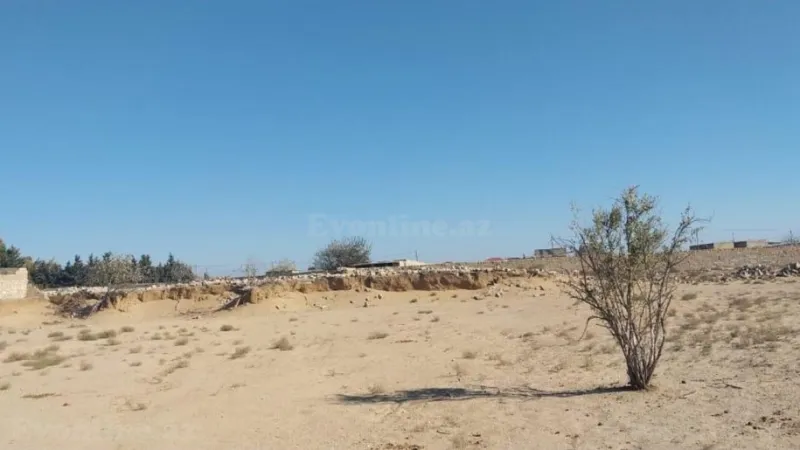 Satılır Torpaq 48 sot Türkan - şəkil 5