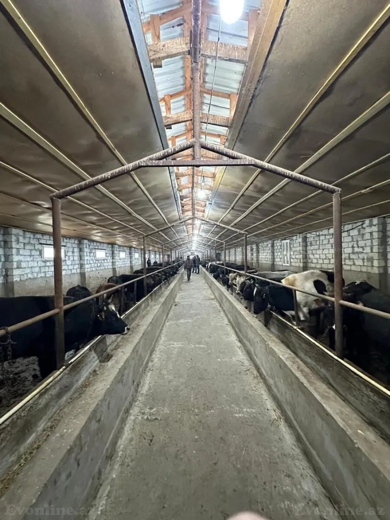 Satılır Obyekt 2100 m² Saatlı - şəkil 2