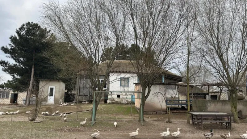 Satılır Obyekt 2100 m² Saatlı - şəkil 16