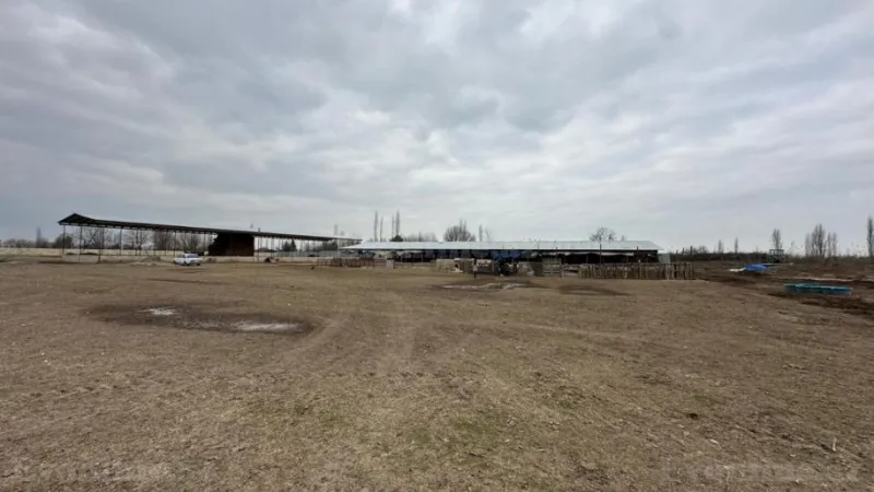 Satılır Obyekt 2100 m² Saatlı - şəkil 19