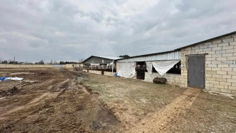 Satılır Obyekt 2100 m² Saatlı - şəkil 20