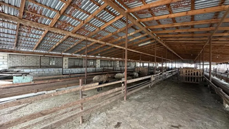 Satılır Obyekt 2100 m² Saatlı - şəkil 21