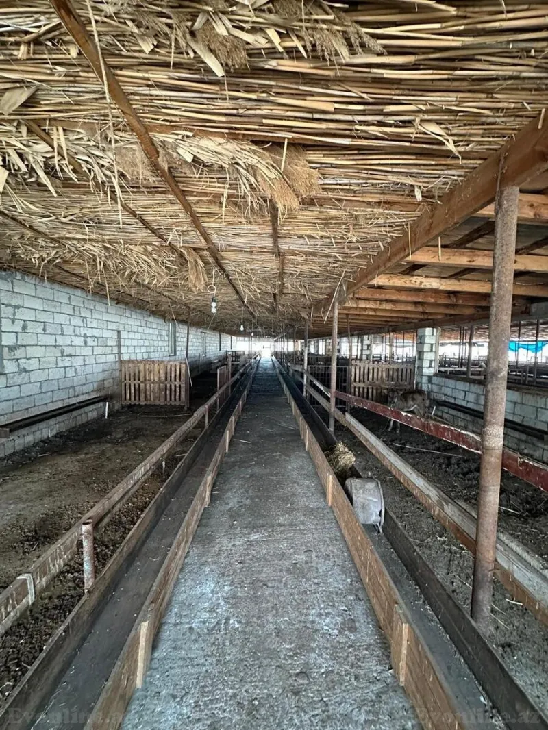 Satılır Obyekt 2100 m² Saatlı - şəkil 27