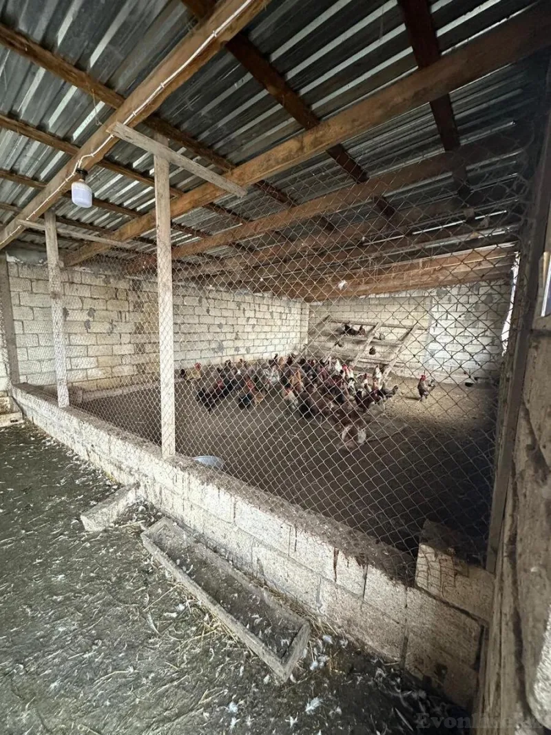 Satılır Obyekt 2100 m² Saatlı - şəkil 28