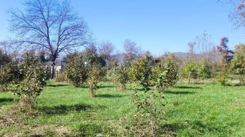 Torpaq Qəbələ Satılır