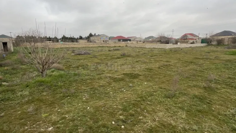 Satılır Torpaq 46 sot Binə