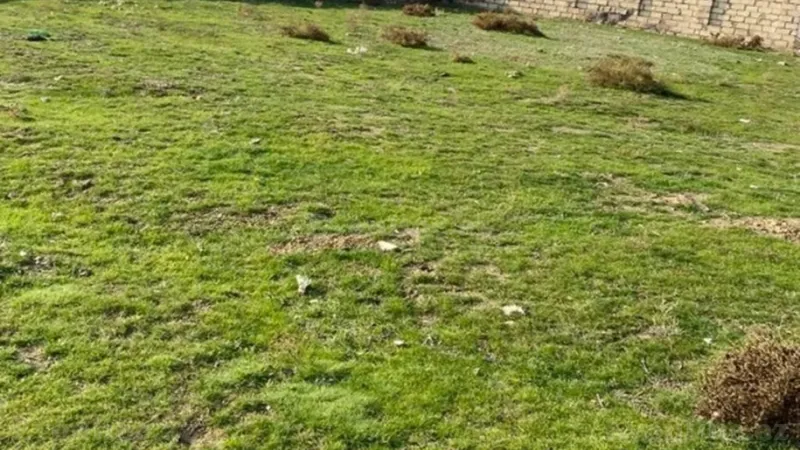 Satılır Torpaq 10 sot Saray - şəkil 3