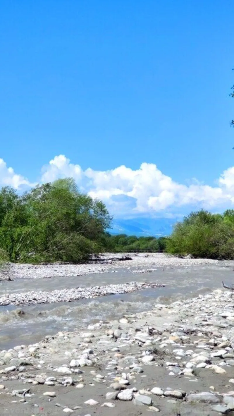 Satılır Torpaq 200 sot Qusar - şəkil 2