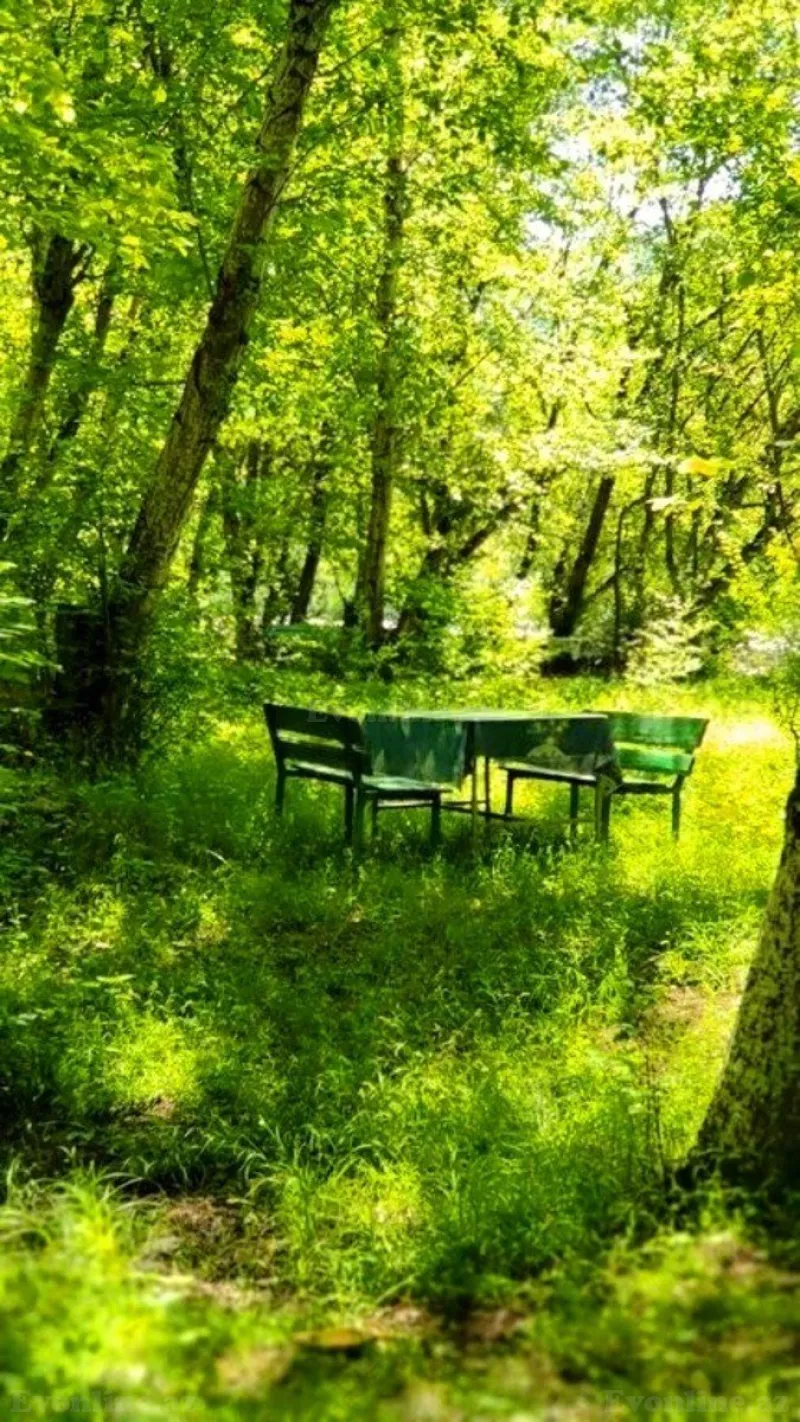 Satılır Torpaq 200 sot Qusar - şəkil 5