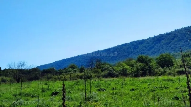 Satılır Torpaq 200 sot Qusar - şəkil 6