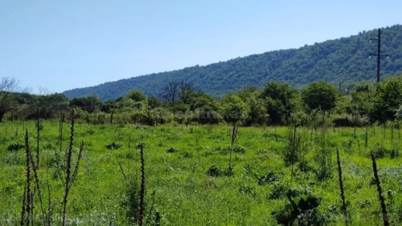 Satılır Torpaq 200 sot Qusar - şəkil 7