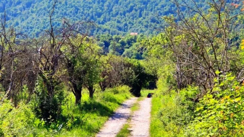 Satılır Torpaq 200 sot Qusar - şəkil 8