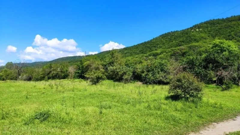 Satılır Torpaq 200 sot Qusar - şəkil 9