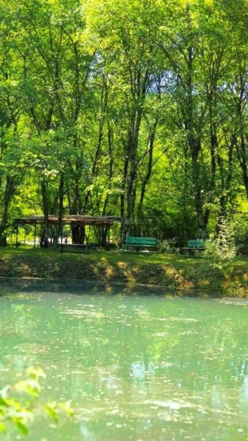 Satılır Torpaq 200 sot Qusar - şəkil 10