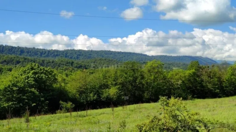 Satılır Torpaq 200 sot Qusar - şəkil 11