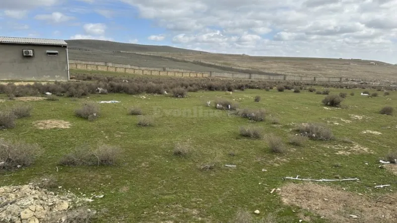 Satılır Torpaq 13 sot Novxanı - şəkil 3