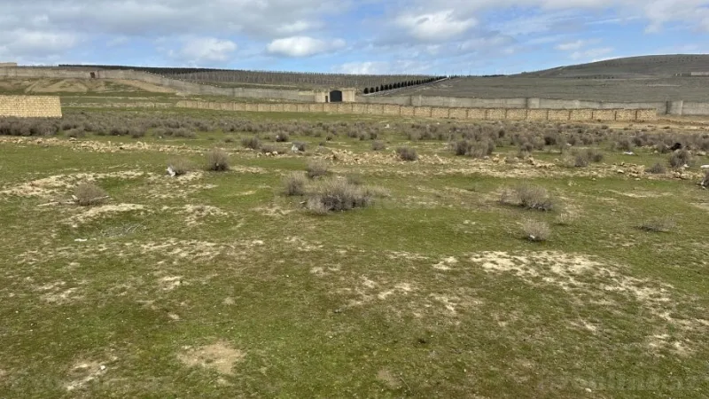 Satılır Torpaq 13 sot Novxanı - şəkil 7