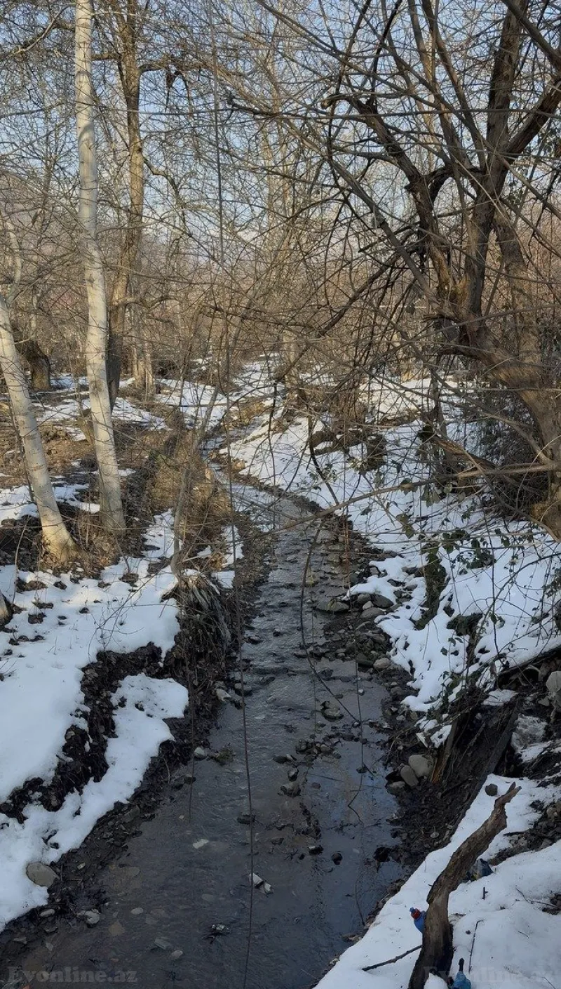 Satılır Torpaq 15 sot İsmayıllı - şəkil 2