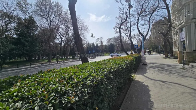 Kirayə verilir Obyekt 73 m² Nəsimi r. - şəkil 15