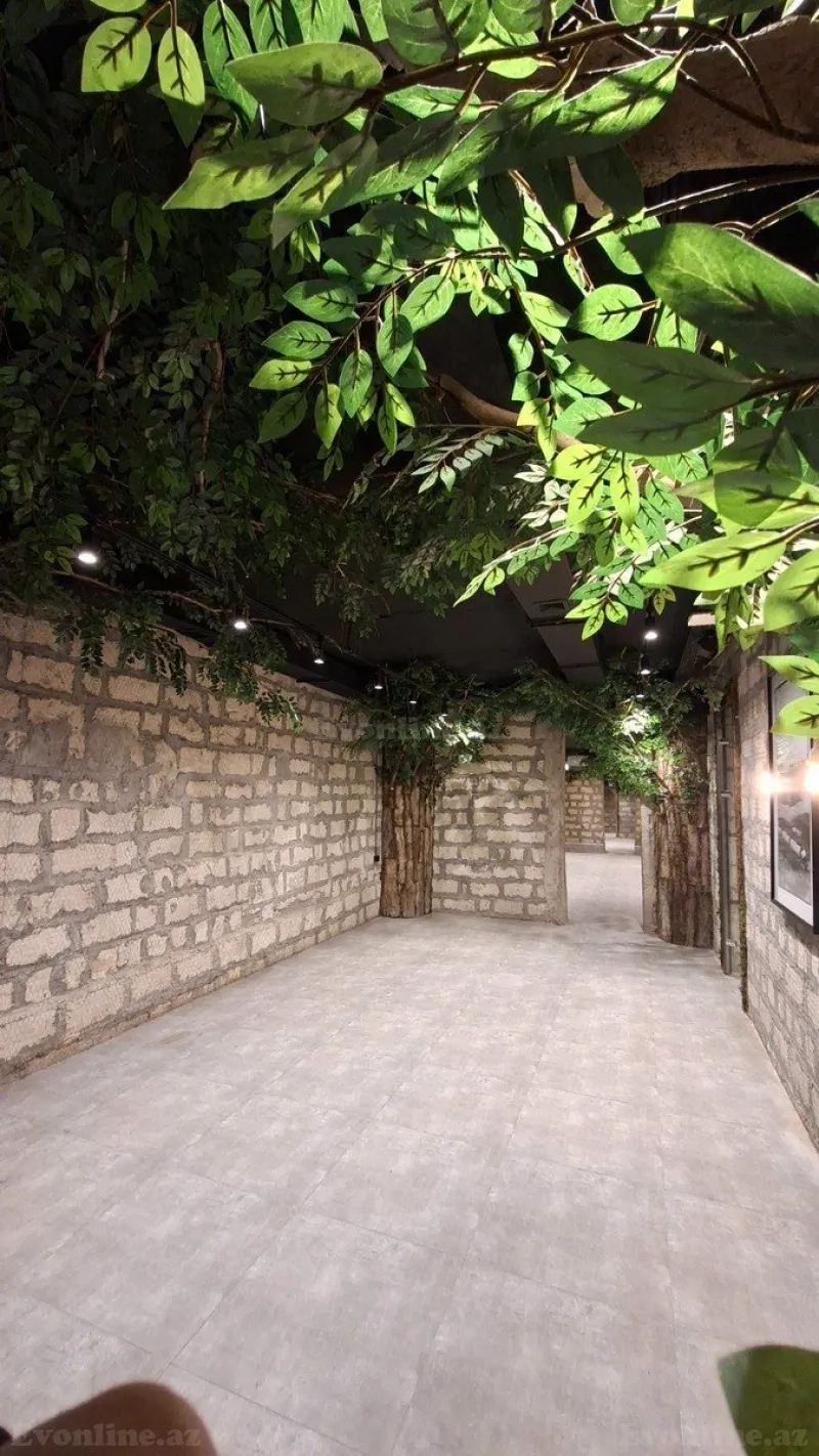 Kirayə verilir Obyekt 412 m² Sahil m. - şəkil 5