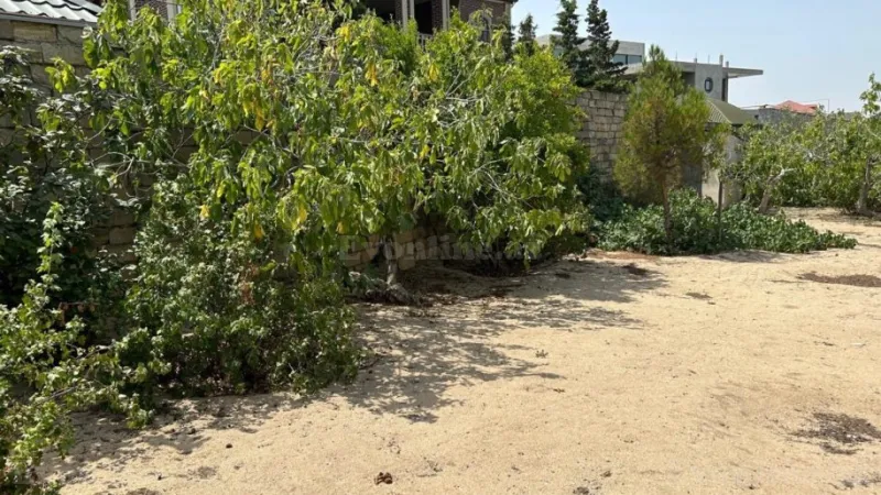 Satılır Torpaq 13 sot Bilgəh - şəkil 3