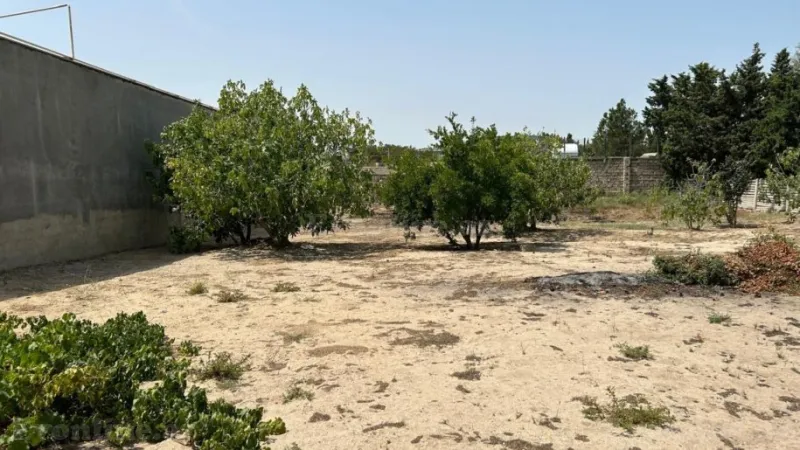 Satılır Torpaq 13 sot Bilgəh - şəkil 5