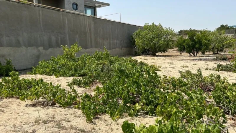 Satılır Torpaq 13 sot Bilgəh - şəkil 7