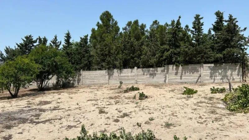 Satılır Torpaq 13 sot Bilgəh - şəkil 8