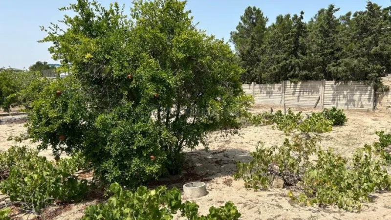 Satılır Torpaq 13 sot Bilgəh - şəkil 9