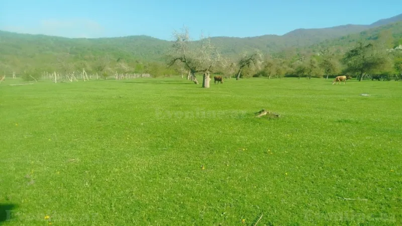 Torpaq Quba Satılır