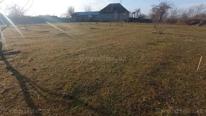 Satılır Torpaq 20 sot Qəbələ - şəkil 2