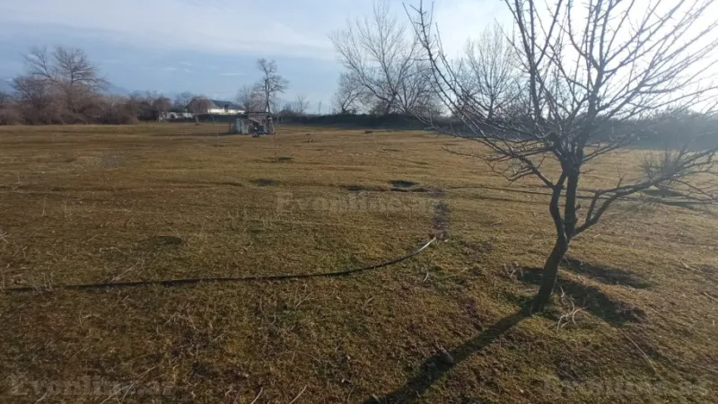 Satılır Torpaq 20 sot Qəbələ - şəkil 4