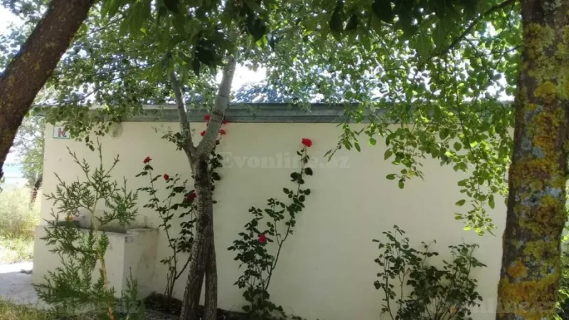 Satılır Obyekt 400 m² Şamaxı - şəkil 9