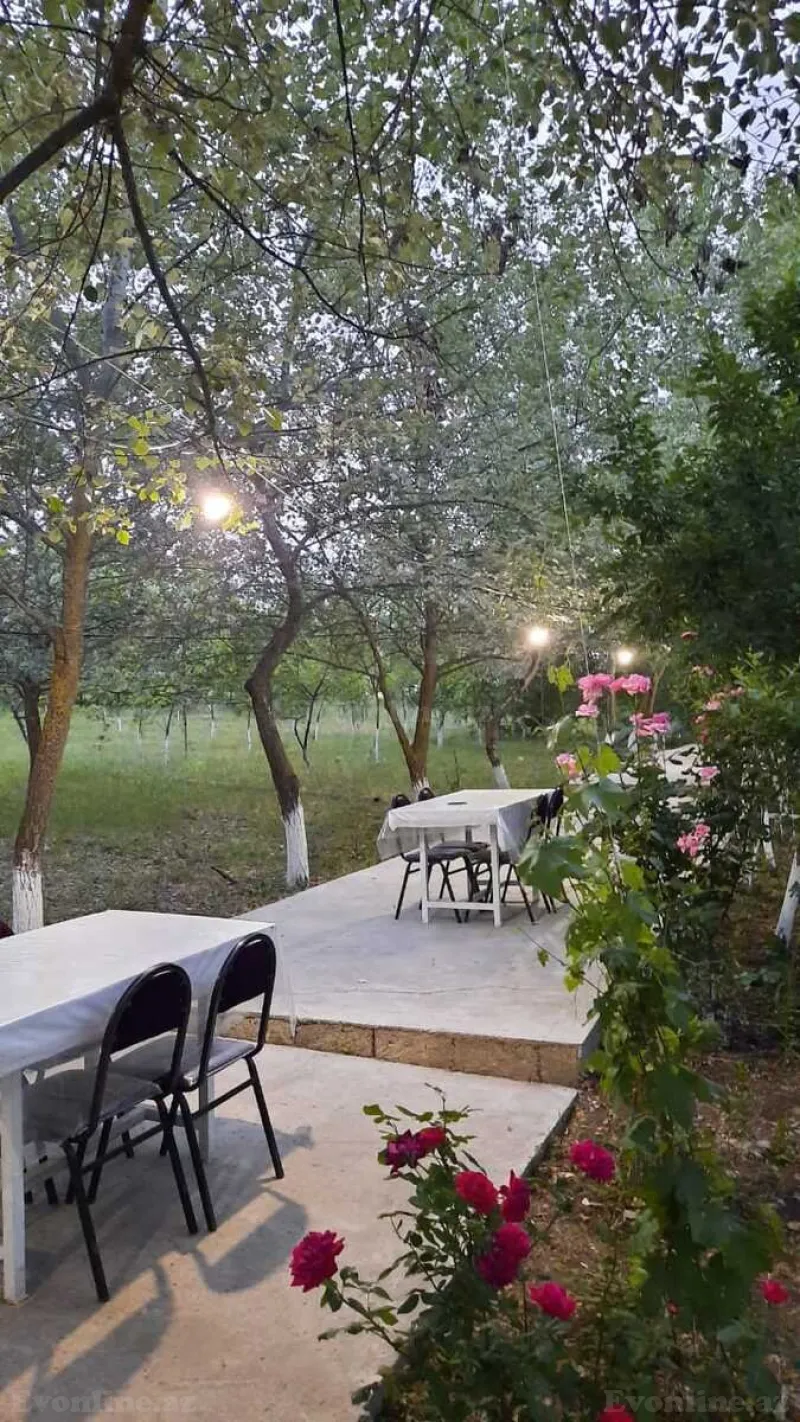 Satılır Obyekt 400 m² Şamaxı - şəkil 22