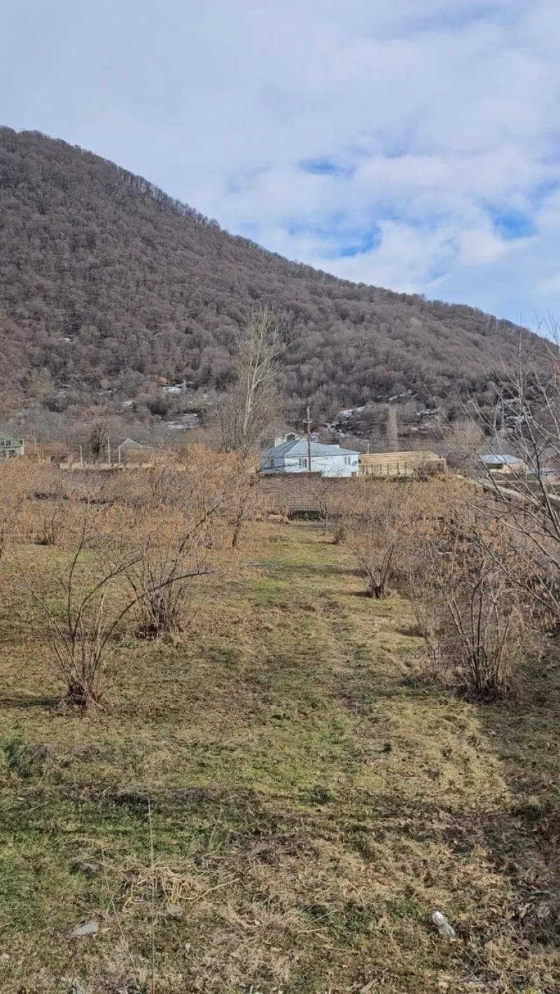 Satılır Torpaq 26 sot Qəbələ - şəkil 2