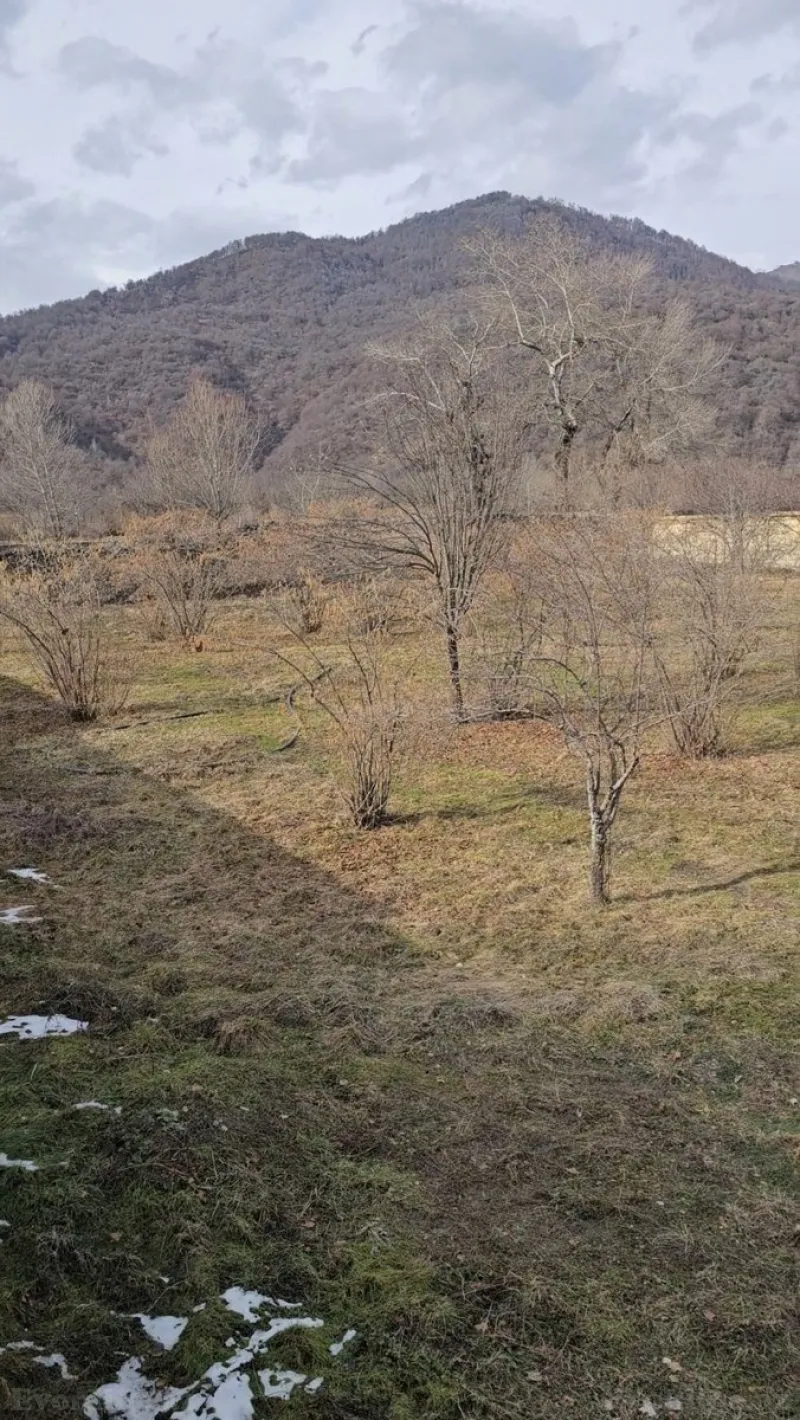 Satılır Torpaq 26 sot Qəbələ - şəkil 3