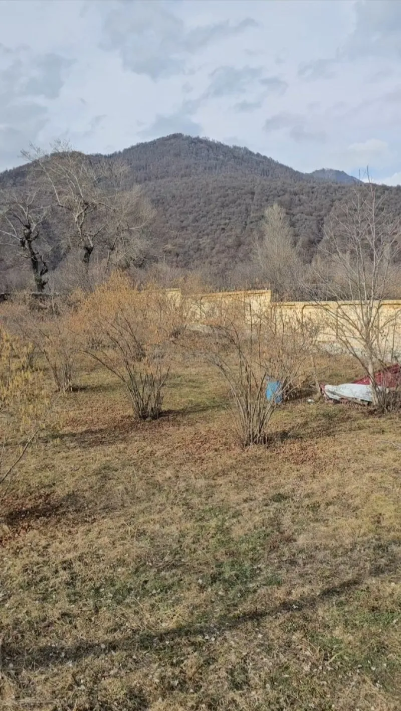 Satılır Torpaq 26 sot Qəbələ - şəkil 5