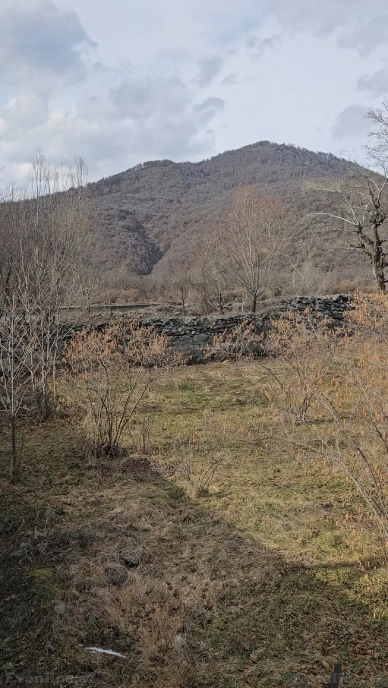 Satılır Torpaq 26 sot Qəbələ - şəkil 6