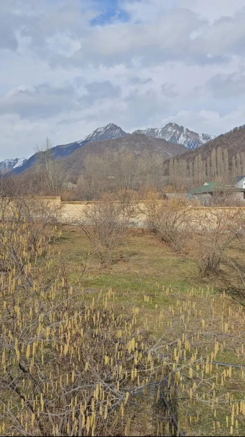 Satılır Torpaq 26 sot Qəbələ - şəkil 7