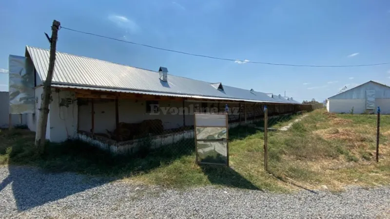 Satılır Obyekt 8500 m² Qaradağ r.