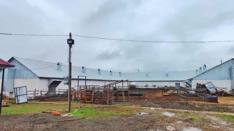 Satılır Obyekt 8500 m² Qaradağ r. - şəkil 2