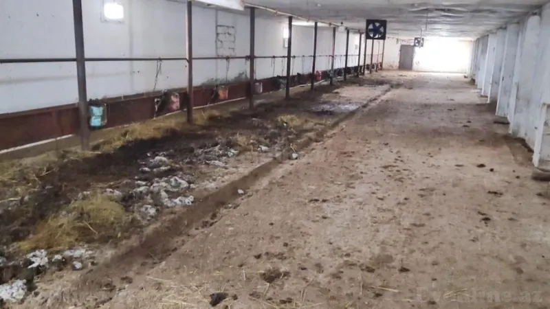 Satılır Obyekt 8500 m² Qaradağ r. - şəkil 5