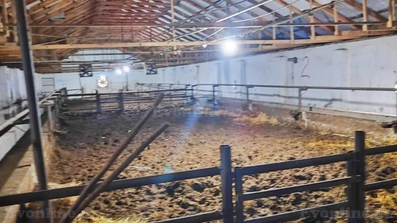 Satılır Obyekt 8500 m² Qaradağ r. - şəkil 6