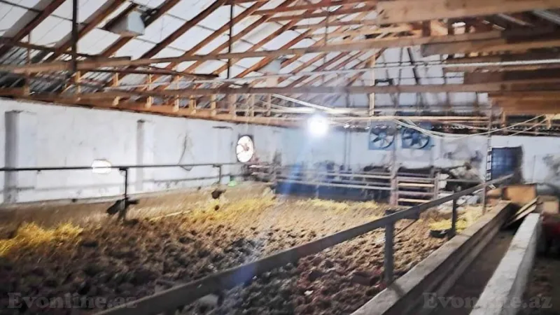 Satılır Obyekt 8500 m² Qaradağ r. - şəkil 7