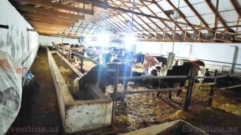 Satılır Obyekt 8500 m² Qaradağ r. - şəkil 8